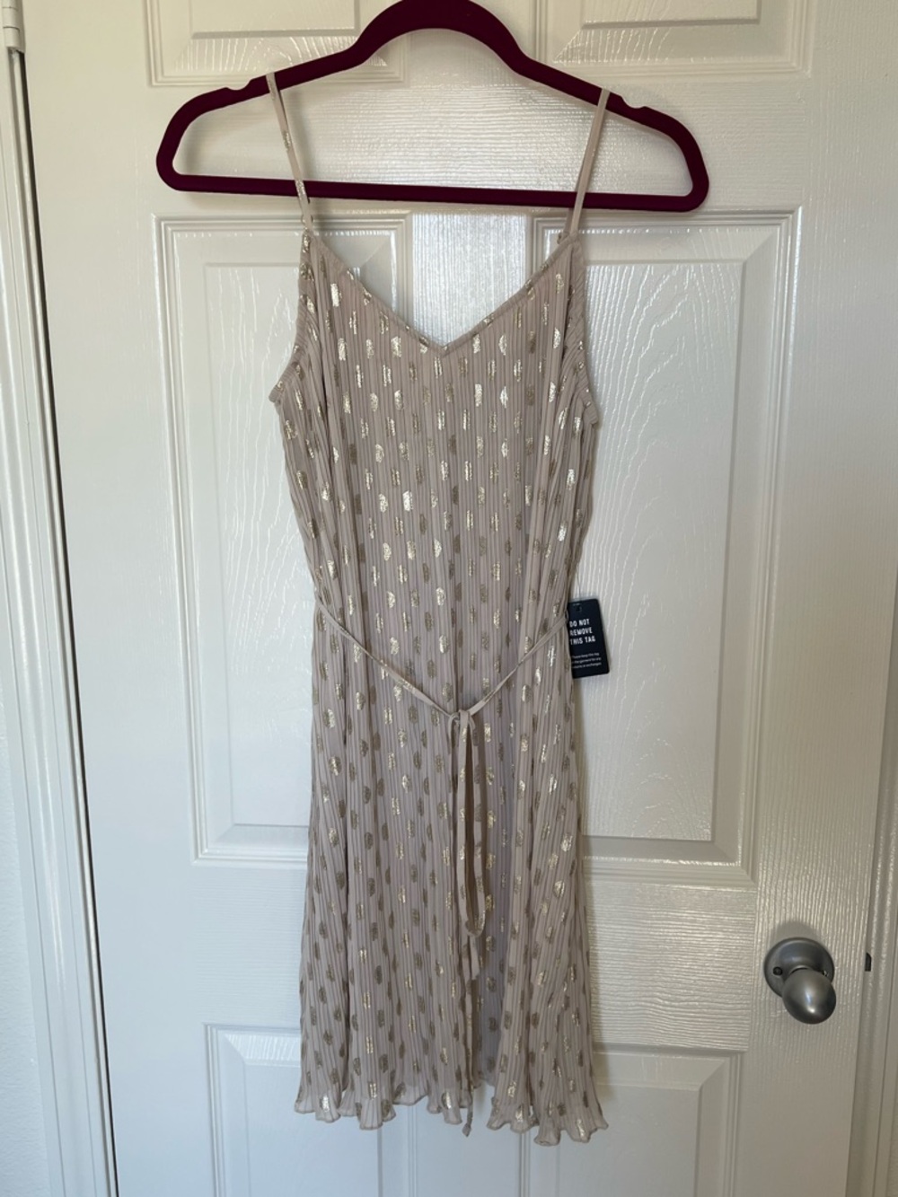 Express Blush Slip Dress with Gold dot Accents, NWT, size medium